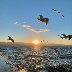 av片永久免费全集在线观看
